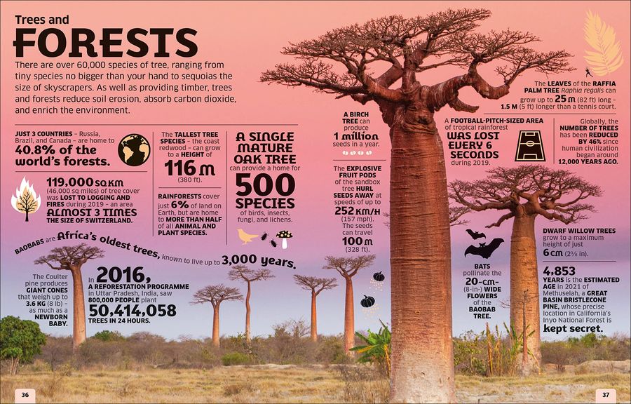Our World in Numbers An Encyclopedia of Fantastic Facts