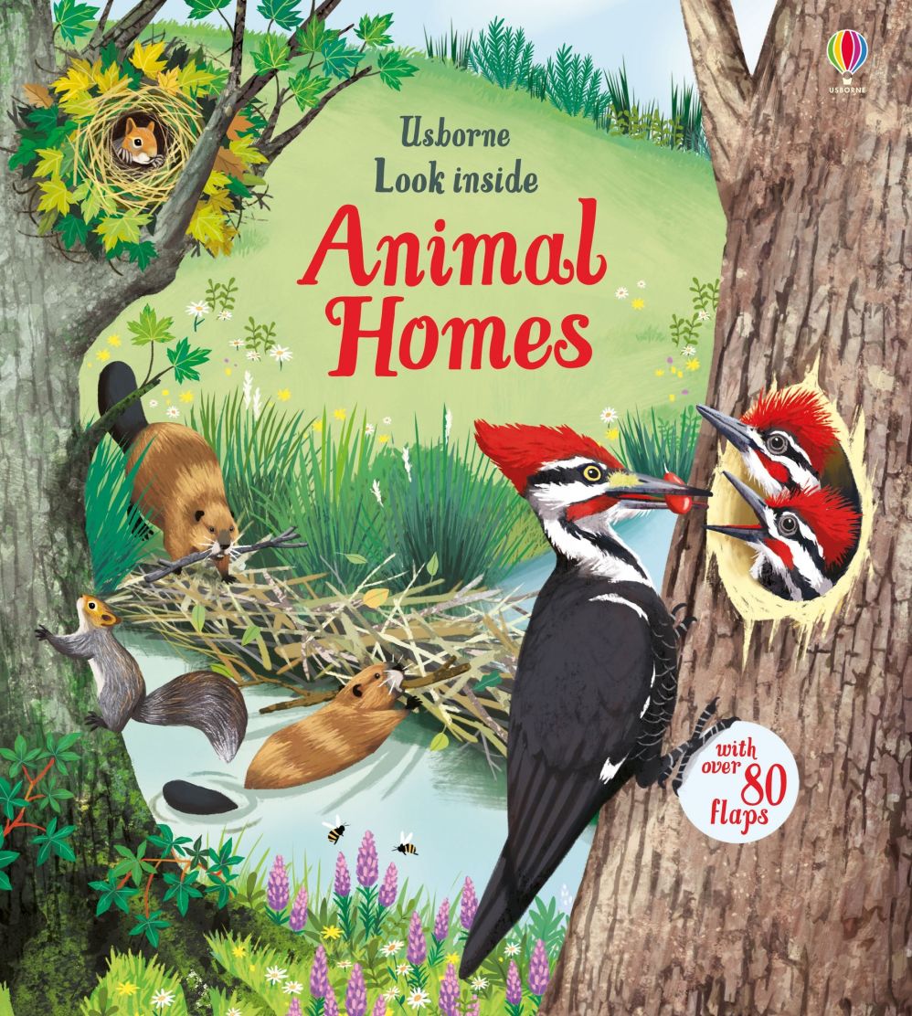 Usborne Look Inside Animal Homes