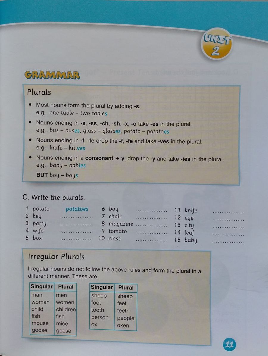 Welcome Plus 5 Vocabulary and Grammar Practice