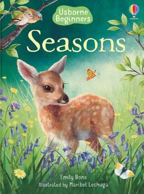 Usborne Beginners Seasons