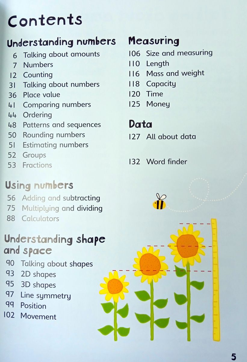 Usborne First Illustrated Maths Dictionary