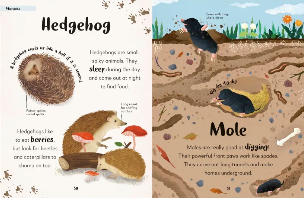 The Bedtime Book of Animals Take a Peek at more than 50 of your Favourite Animals