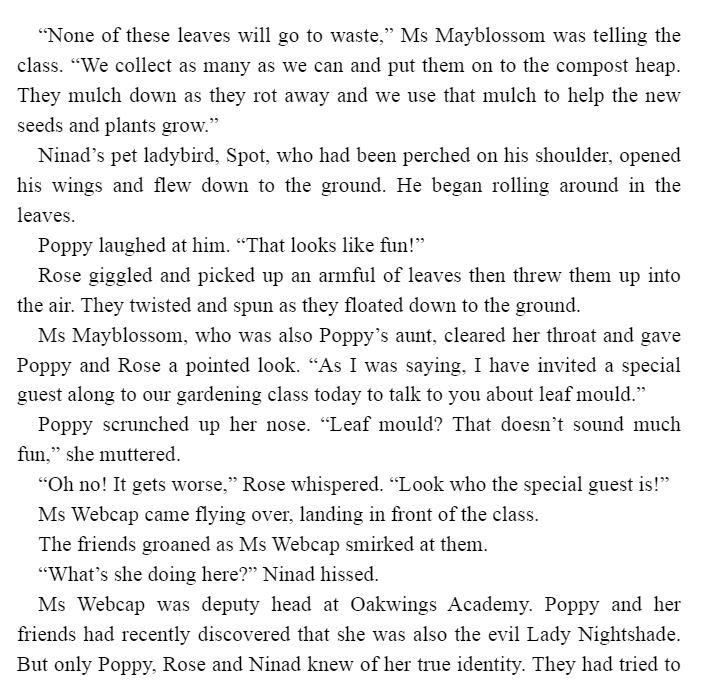 Fairy Forest School Book 5 Red Panda Riddle