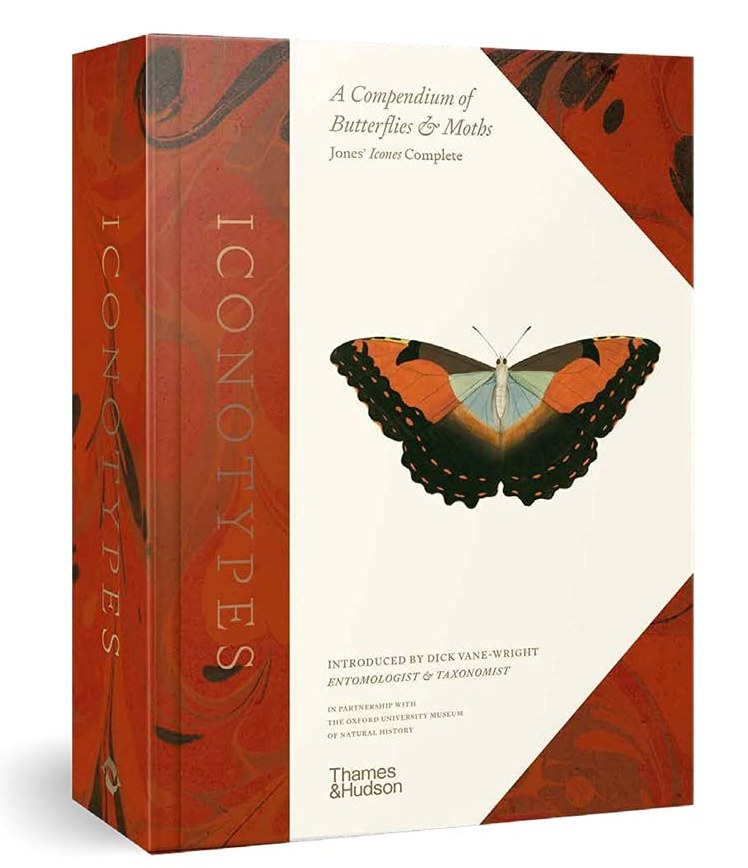 Iconotypes A compendium of butterflies and moths. Jones's Icones Complete