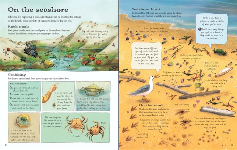 The Usborne Outdoor Book
