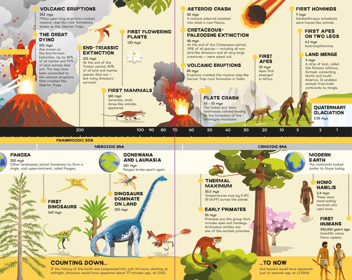 Usborne Fold-Out Timeline of Planet Earth