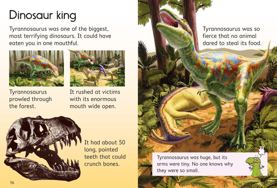 Usborne Beginners Dinosaurs