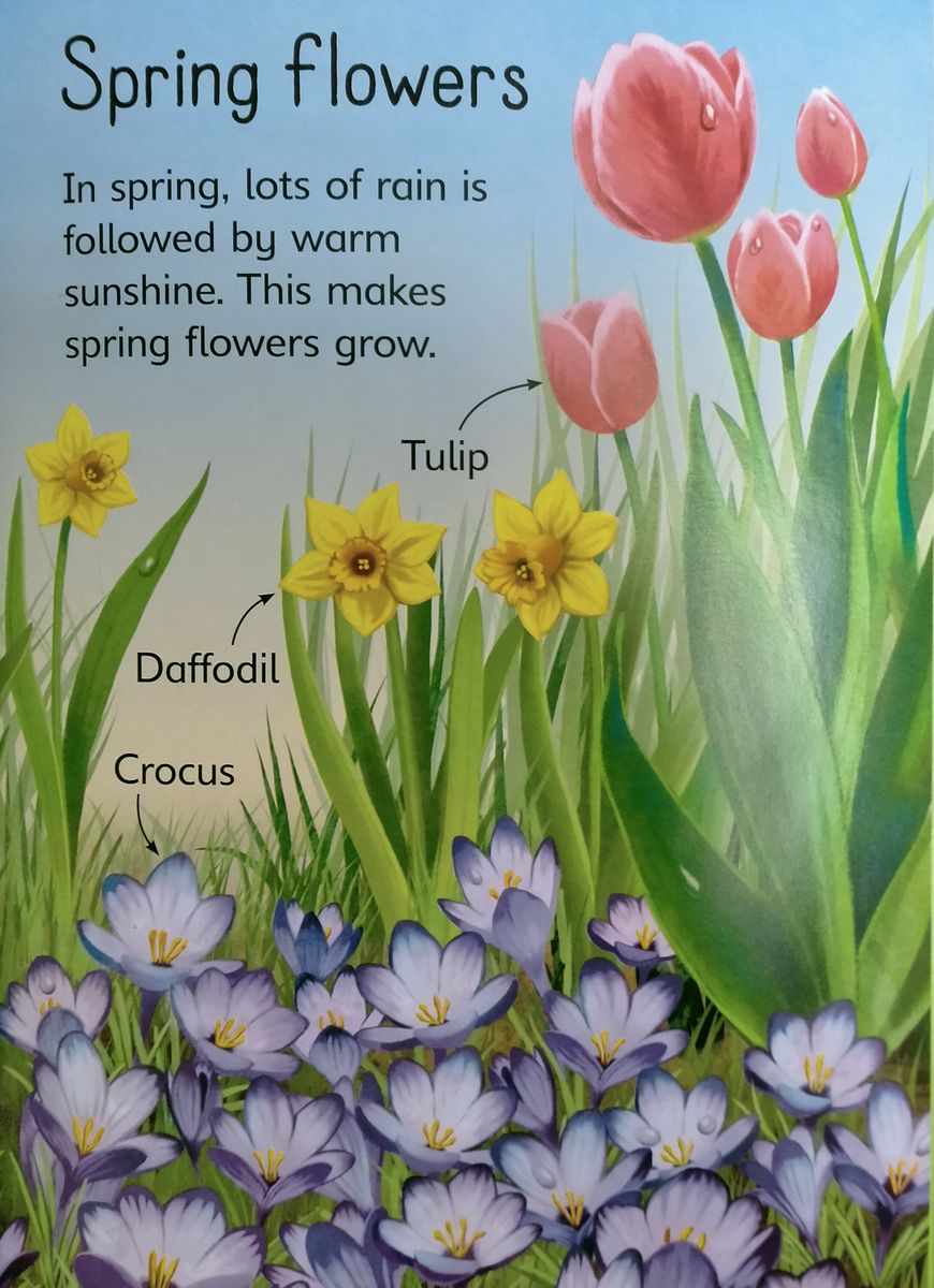 Usborne Beginners Seasons