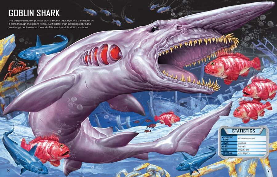 Usborne Build Your Own Sharks Sticker Book