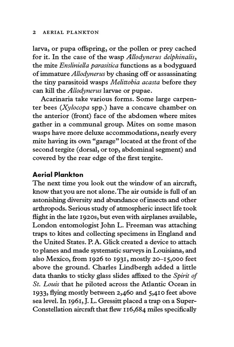 Insectpedia A Brief Compendium of Insect Lore