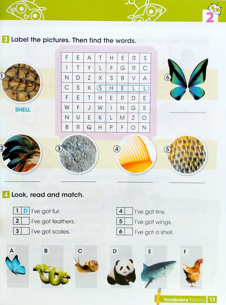i Wonder 2 Vocabulary and Grammar Practice