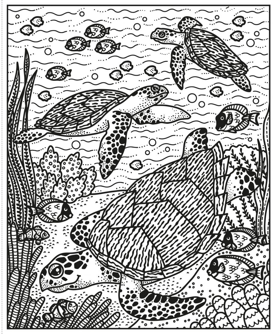 Usborne Wild Animals Magic Painting Book