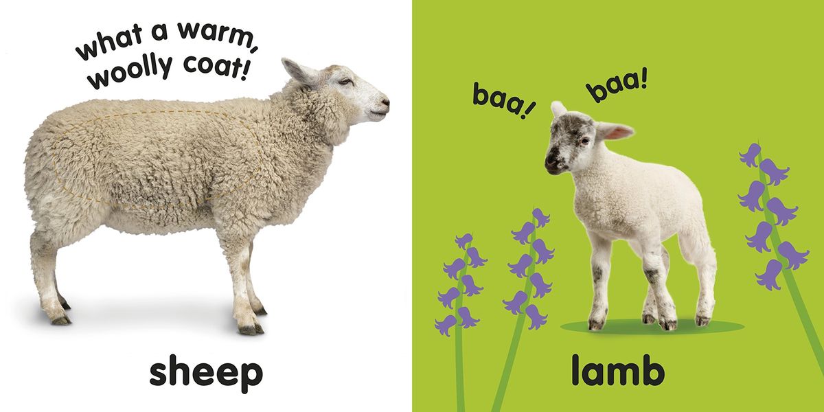 Baby Touch and Feel Farm Animals