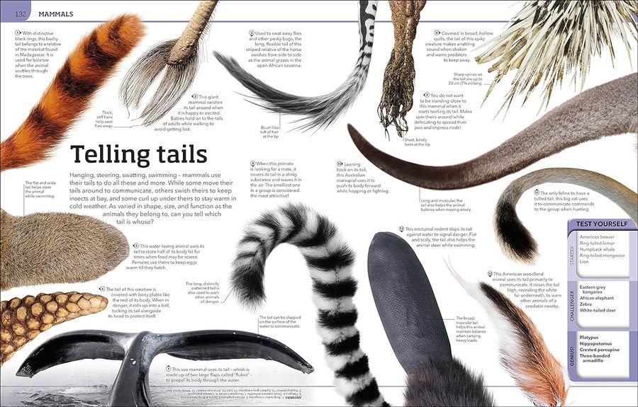 Animal Knowledge Genius A Quiz Encyclopedia to Boost Your Brain