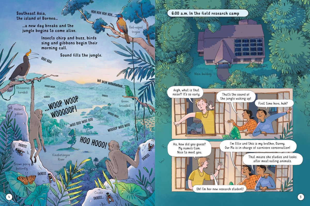 Usborne 24 Hours in the Jungle