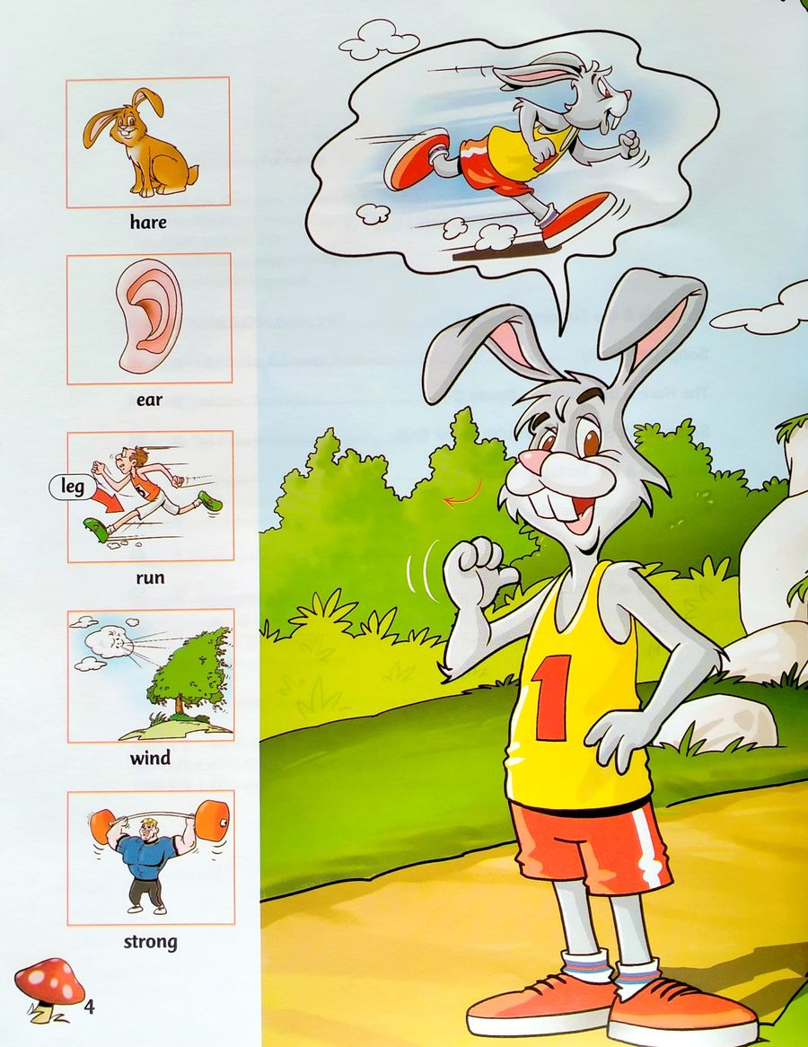 Storytime 1 Aesop's The Hare and The Tortoise with Application