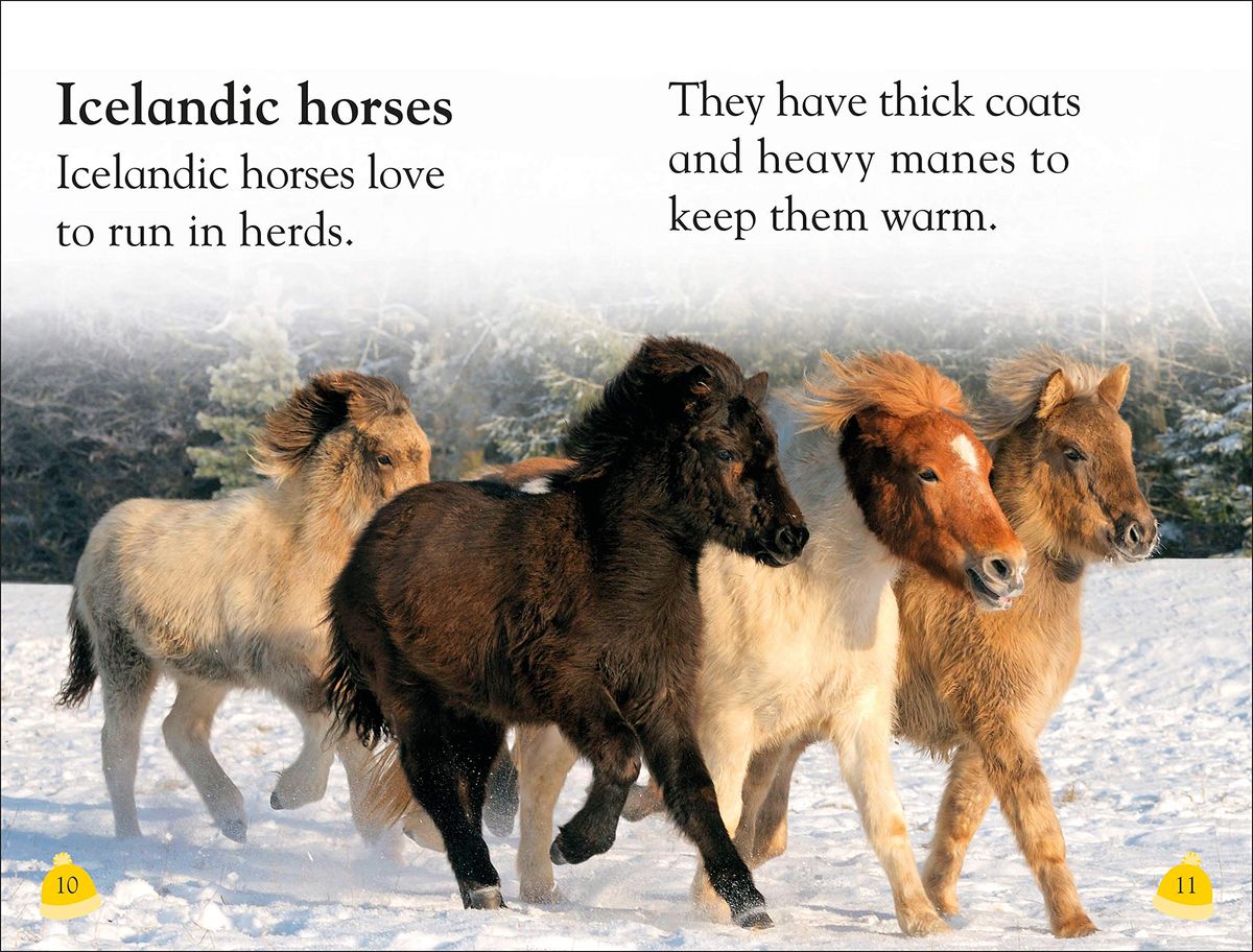 DK Reader 1 Welcome To Iceland