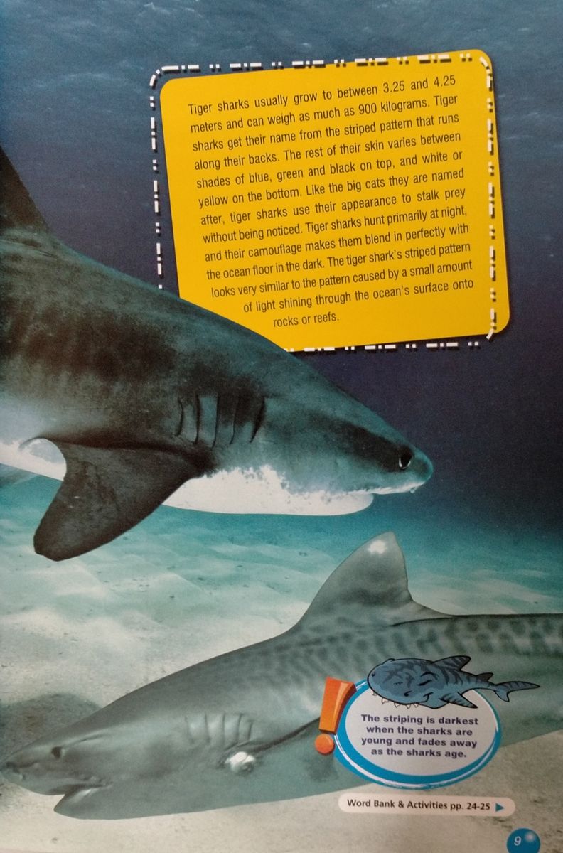 Discover Our Amazing World The Tiger Shark with Digibook