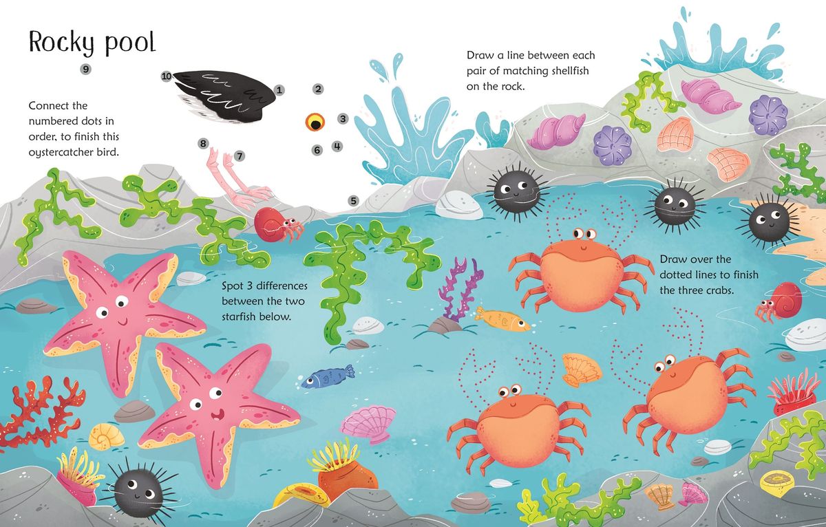 Wipe-Clean Seashore Activities