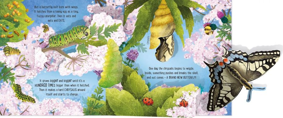 Usborne Pop-Up Butterflies