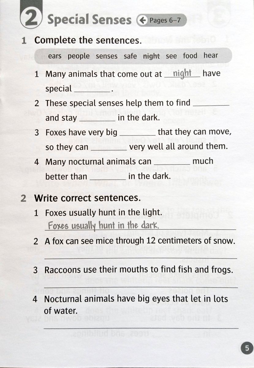 Oxford Read and Discover 4 Animals at Night Activity Book
