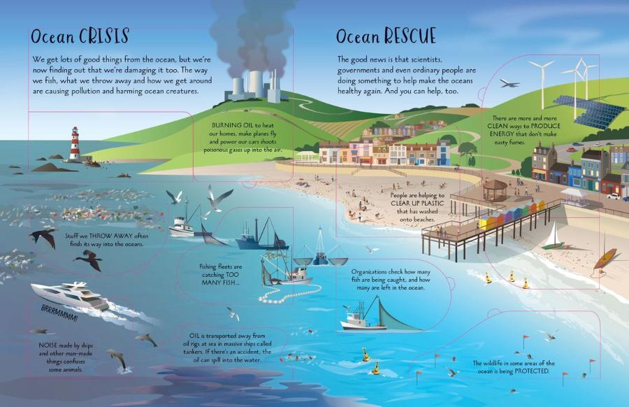 An Usborne Flap Book See Inside Oceans