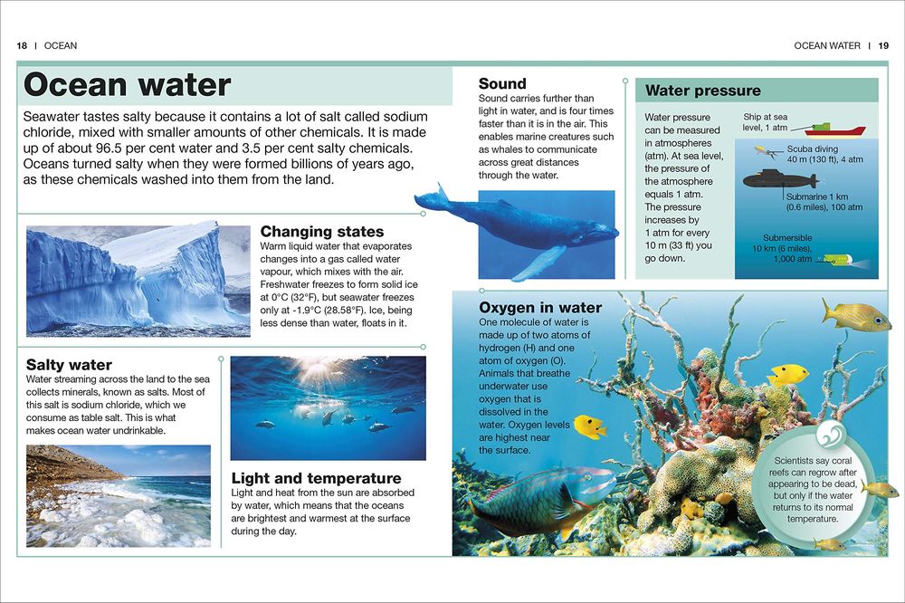 Ocean Facts at Your Fingertips