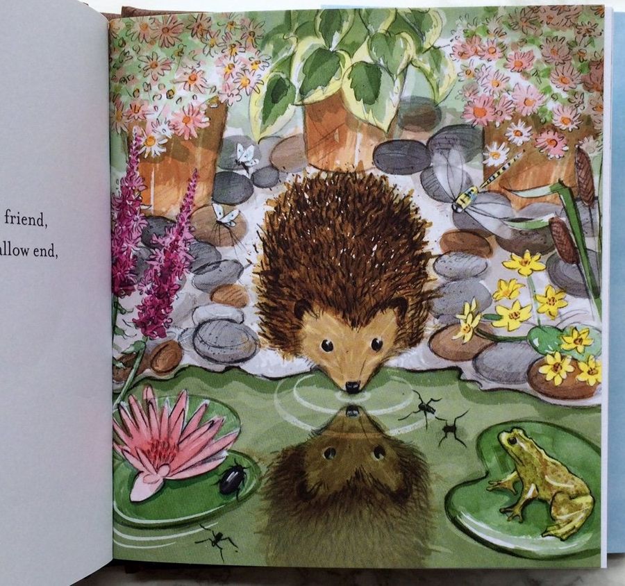 The Last Hedgehog