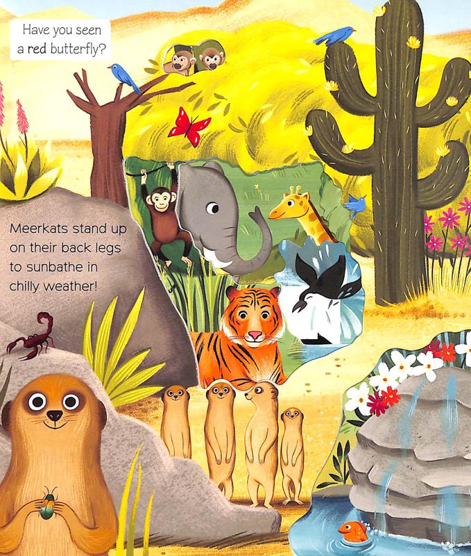 What Can You See at the Zoo?