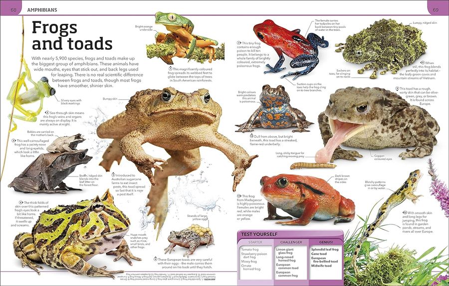 Animal Knowledge Genius A Quiz Encyclopedia to Boost Your Brain