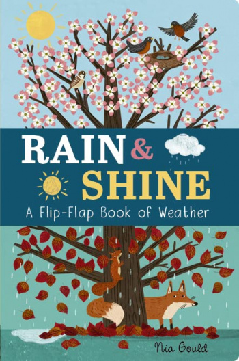 Rain & Shine A Flip-Flap Book of Weather