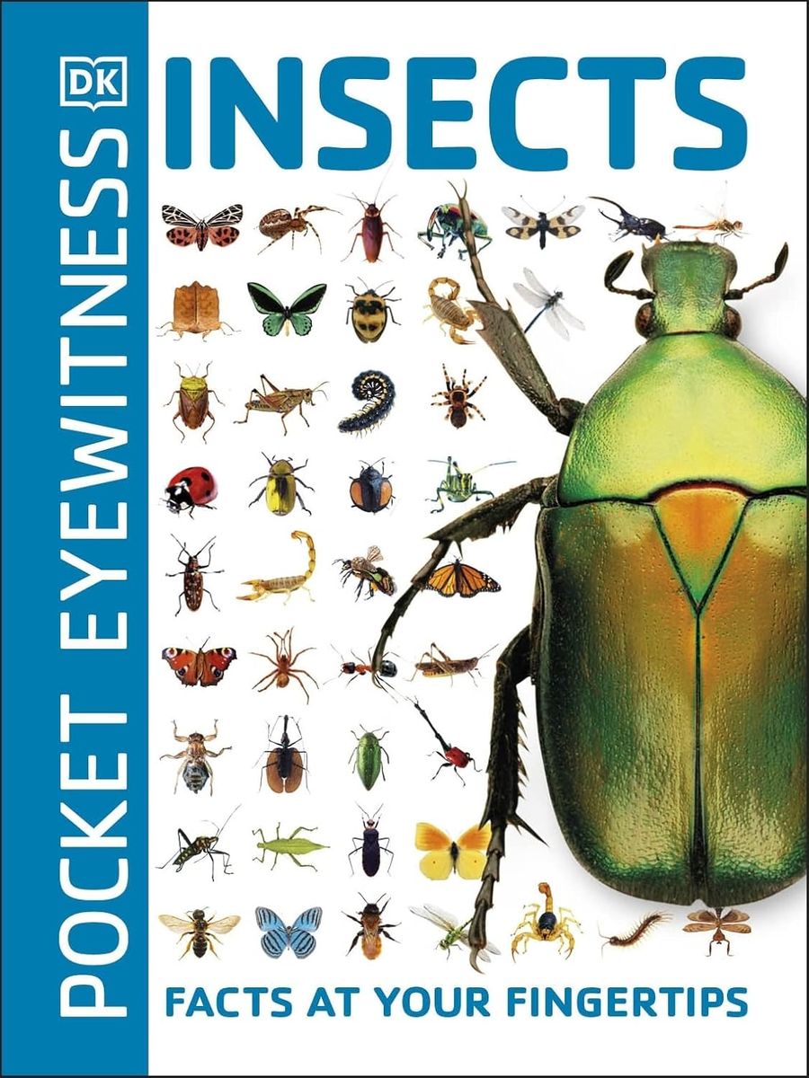 Pocket Eyewitness Insects Facts at Your Fingertips