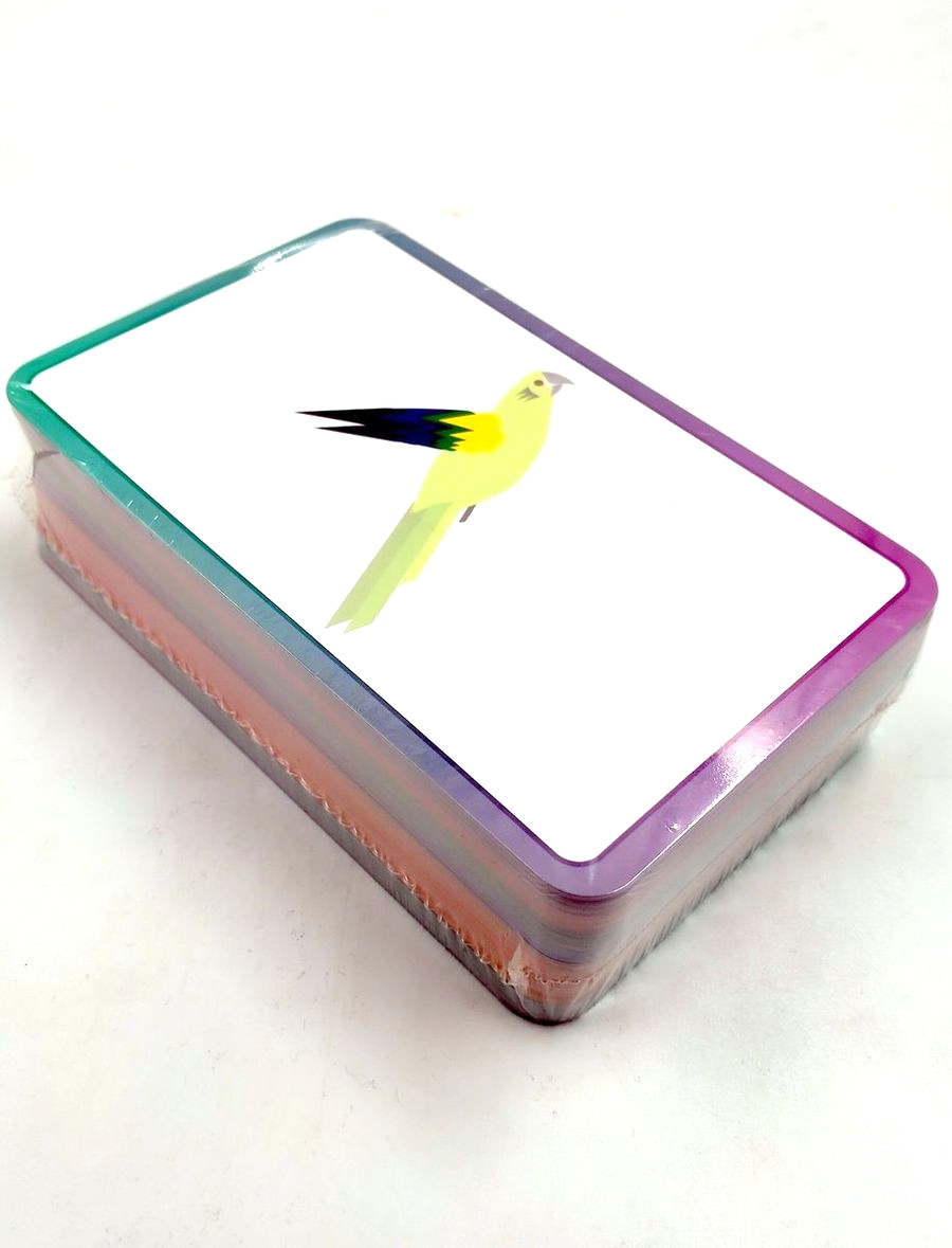 English for Everyone Junior First Words Animals Flash Cards