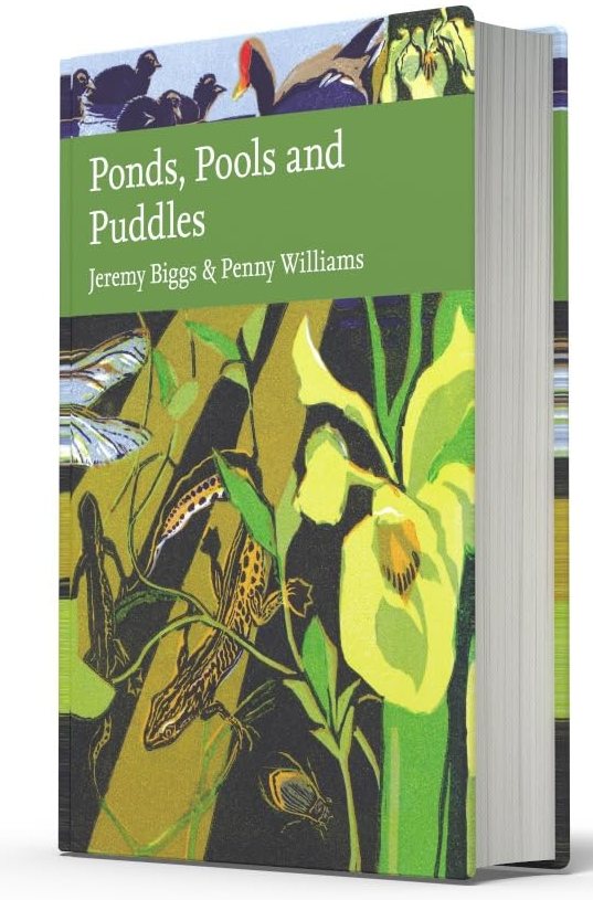 Ponds, Pools and Puddles