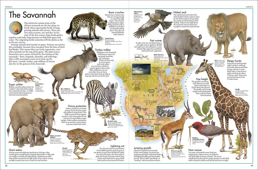 The Animal Atlas A Pictorial Guide to the World's Wildlife