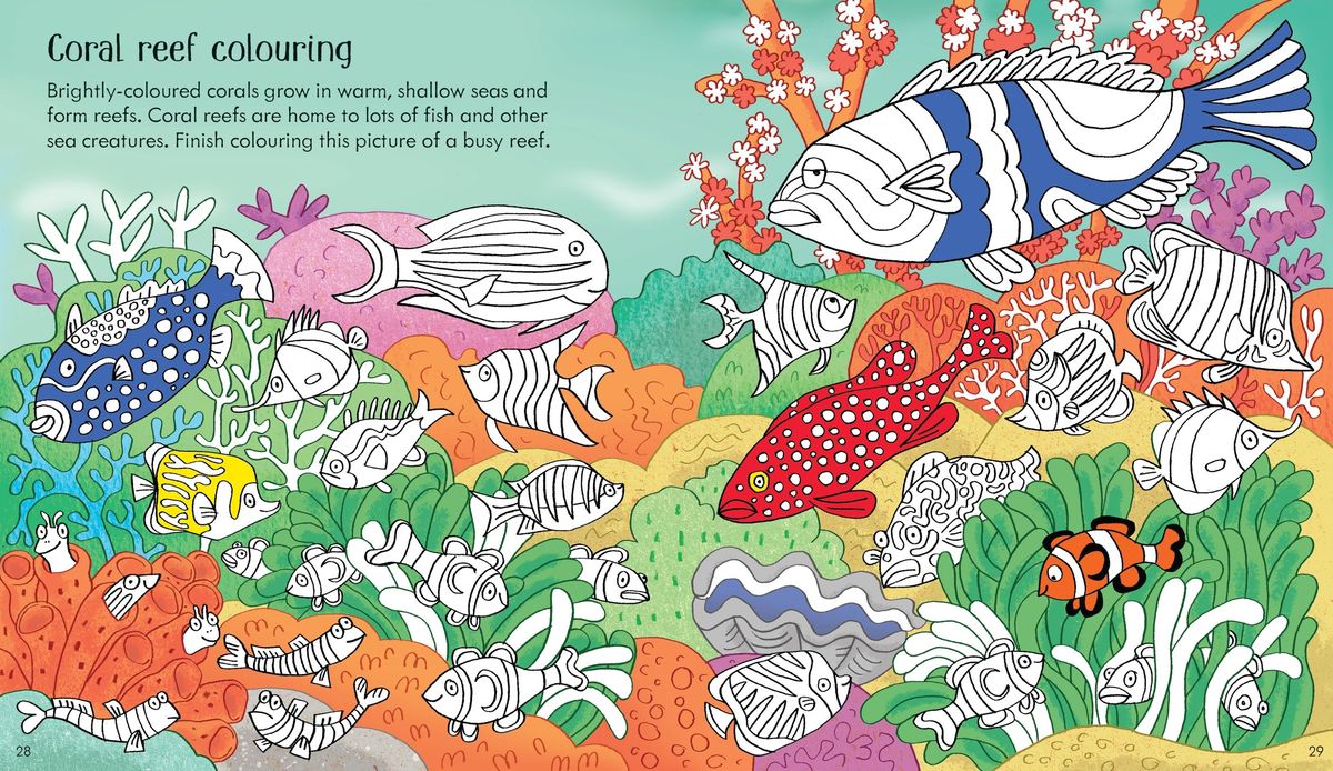 The Usborne Little Children's Under the Sea Activity Book