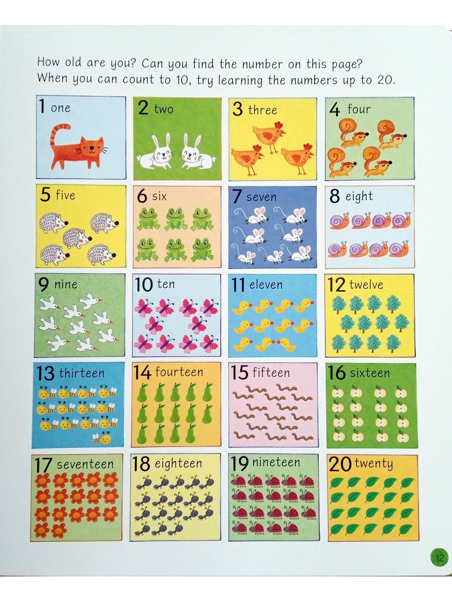 All You Need to Know Before You Start School