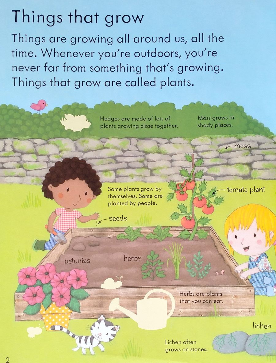 My First Book About How Things Grow Sticker Book