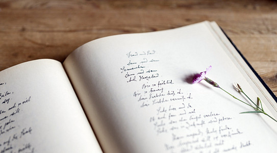 Фестиваль поэзии на иностранных языках Inspiratio