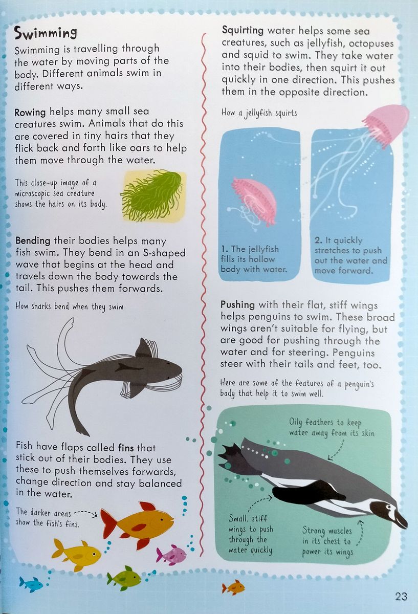 Junior Illustrated Science Dictionary