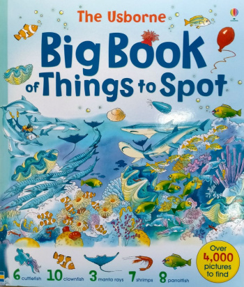 The Usborne Big Book of Things to Spot