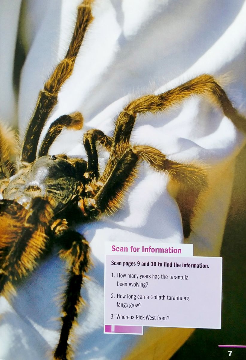 Footprint Reading Library 2600 Headwords The King of the Spiders (C1)