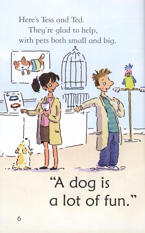 Usborne Very First Reading 3 The Perfect Pet