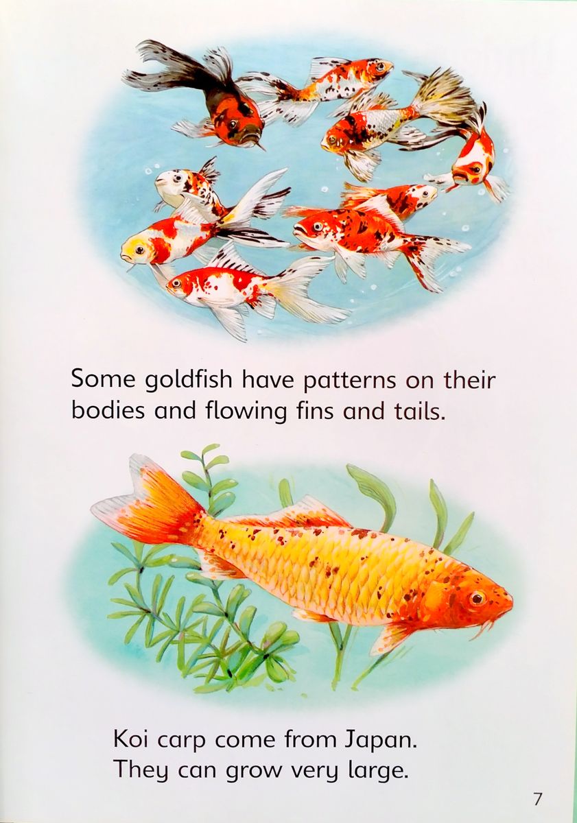 Usborne Beginners Ponds