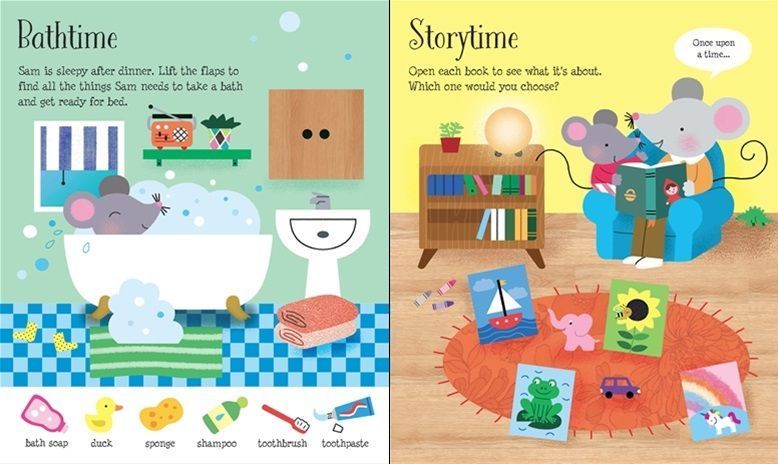 Usborne Lift-the-Flap My Day