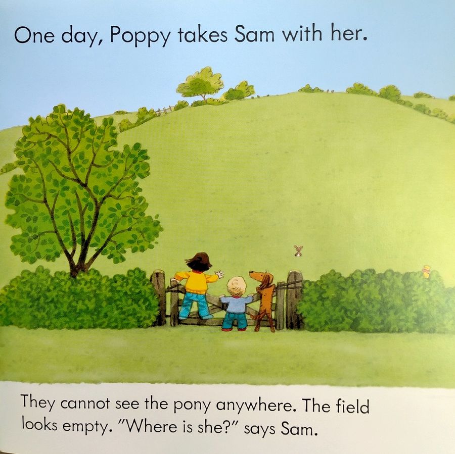 Usborne Farmyard Tales The New Pony