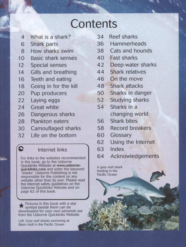 Usborne Discovery Sharks