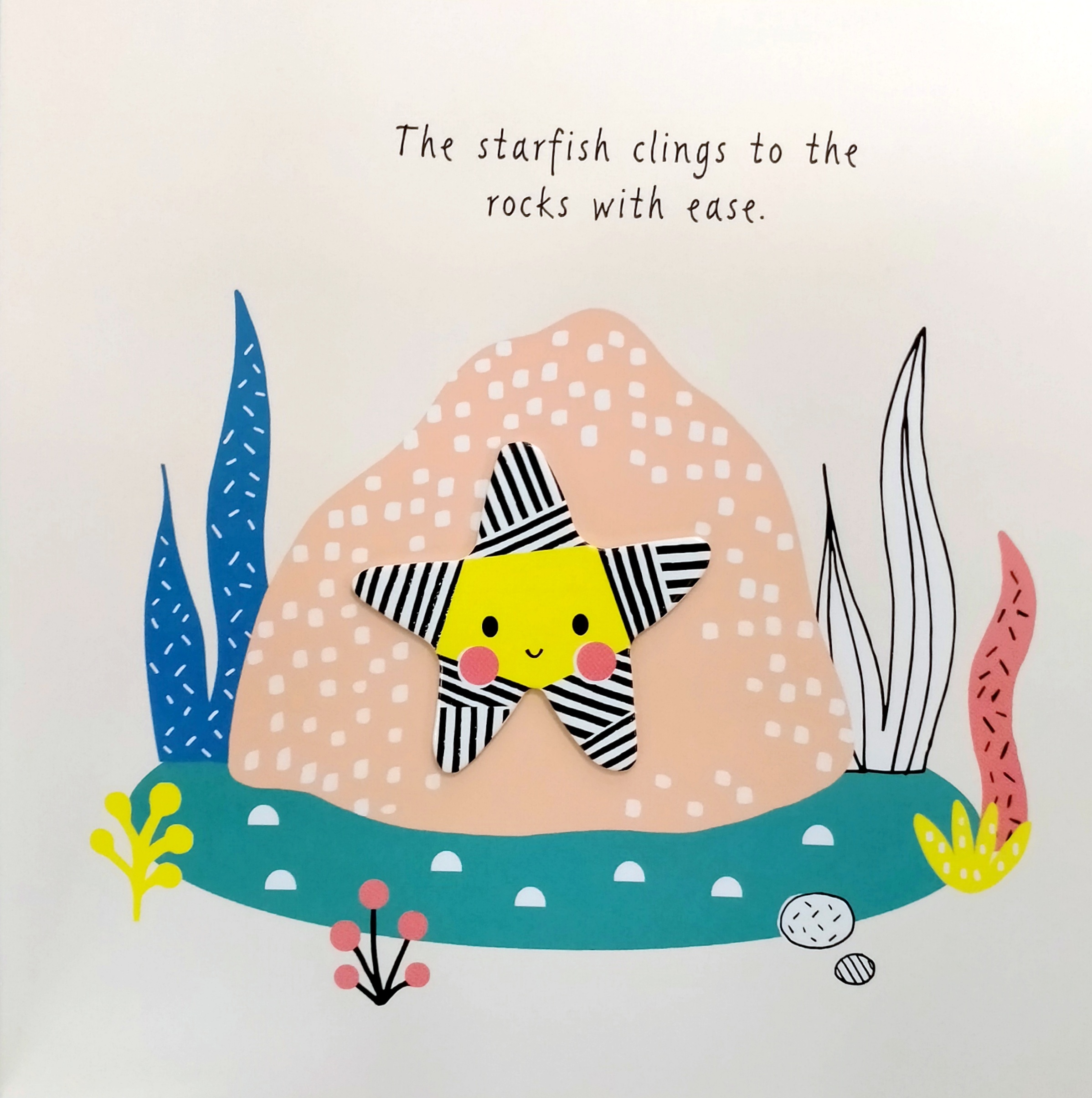 Little Chunkies Animals in the Ocean With Adorable Animals to Touch and Discover