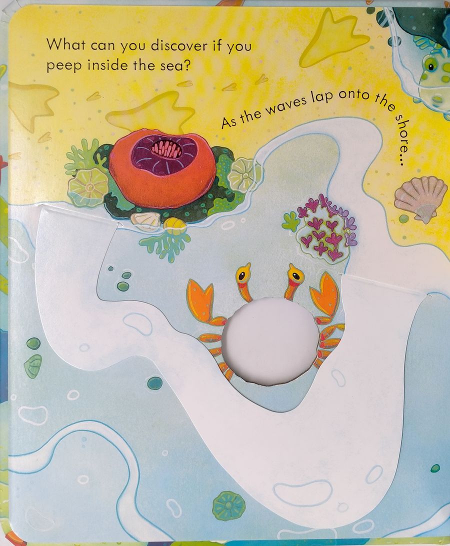 Usborne Peep Inside The Sea