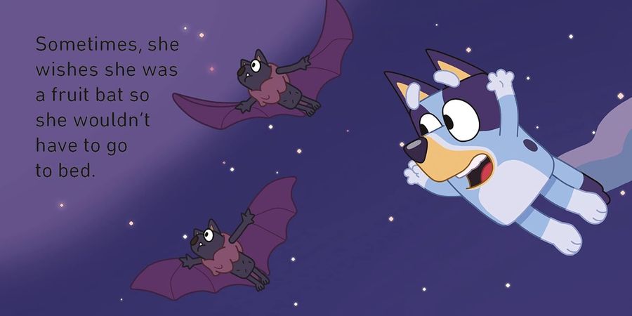 Bluey Little Library